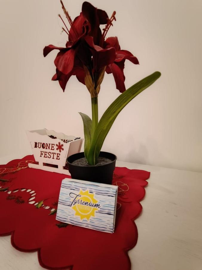 Bed & Breakfast Tyrrenium